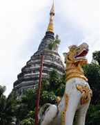 【泰国】    1959年泰国政府成立了“泰国旅游业促进机构”，开始发展旅游业在国民经济的发展中又处于重要地位的国家。而这种管理体制可以将政府与市场有机结合起来，通过政府力量的强制性干预，促使旅游业实现快速增长。