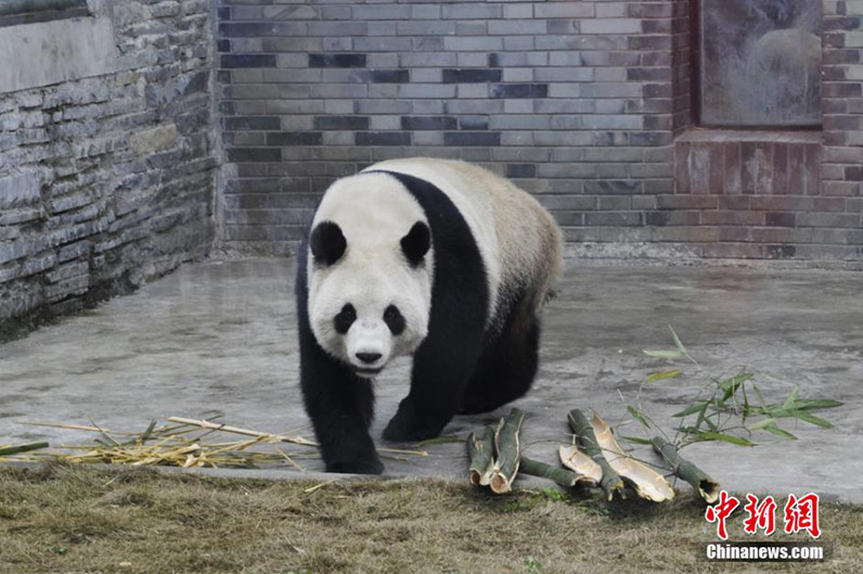 ����:����è���ǻա������úá����̸�����ʱ�þӡ�4��