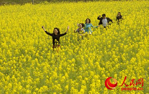 宁乡沙田 宁乡县旅游局供图