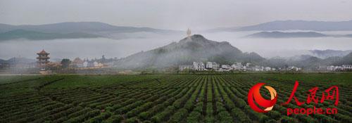 沩山全景灵山佛地 宁乡县旅游局供图