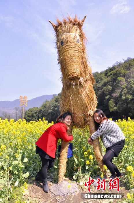 ���壺������Դ���뾰���ִ�����Ȥ�������ˡ���3��