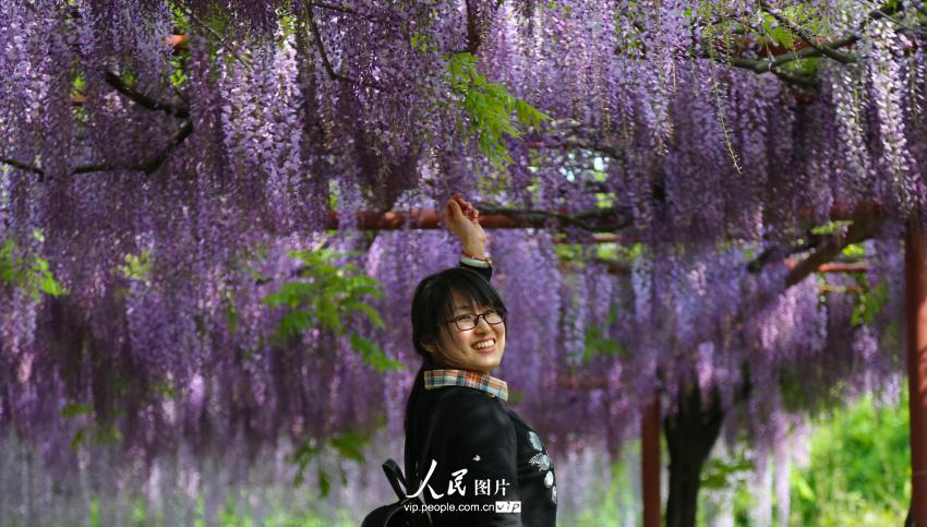 ���壺�Ϻ��ζ����ٻ�ʢ�� ����������ɫ�ɾ���23��