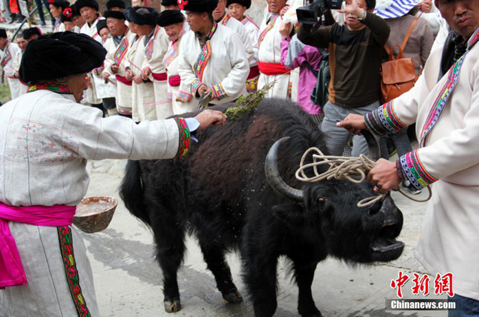 ���壺�Ĵ�ï��Ǽ�����ھٰ�ˮ��ڼ�����ʽ��3��