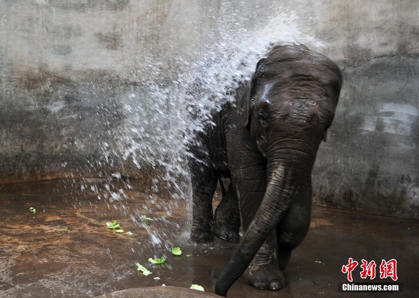 5��29�գ����϶���԰����Ա��ˮΪ�����½�����գ�38������ϯ��ɽ�����ϣ�����������̨Ҳ����ǰ���������׸����³�ɫԤ���������緢 ���� ��