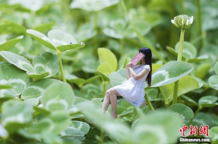 ���壺�Ĵ�һ��Уѧ����Ӱ�����ҡ����⡱��ҵ����������4��