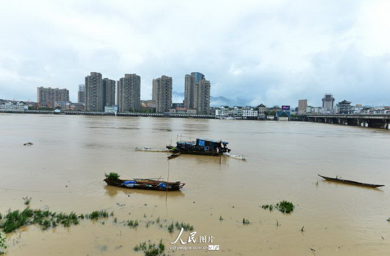 高清:浙江兰溪兰江水位超警戒水位