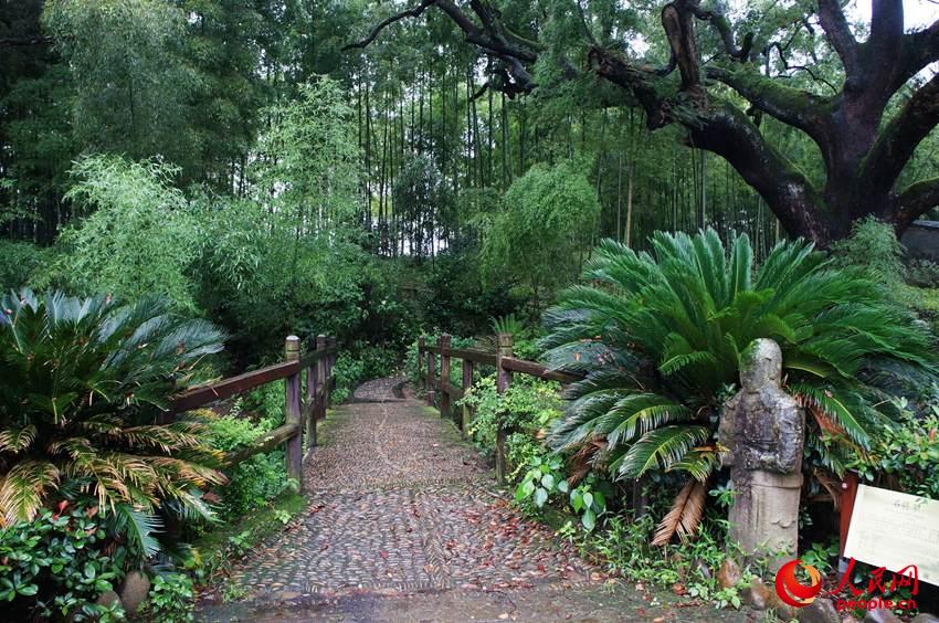 丽水莲都区碧湖镇古村落街景。吴昊/摄