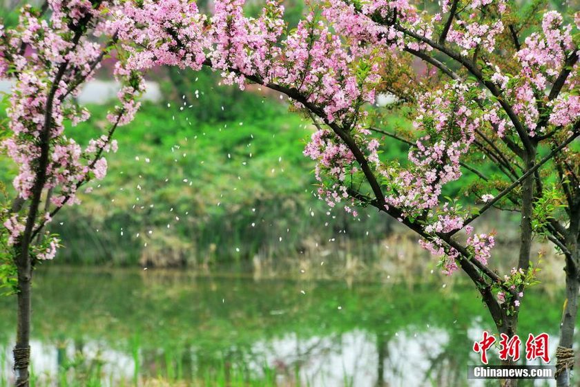 ͼΪ����������ӣ������׽�����˺�����