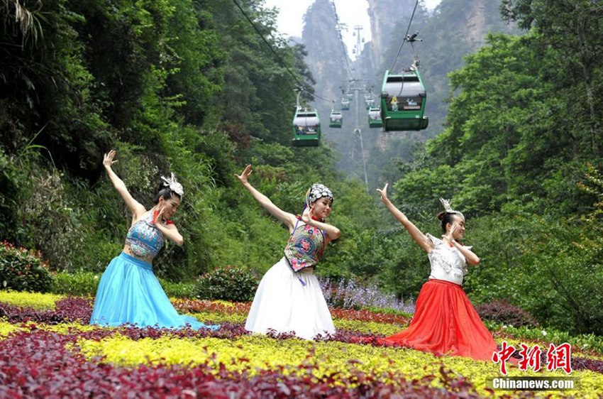 ���ΰ桶Сƻ����MV�ں����żҽ��������