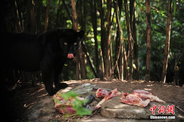 壺춯԰ͶιΪ¡5