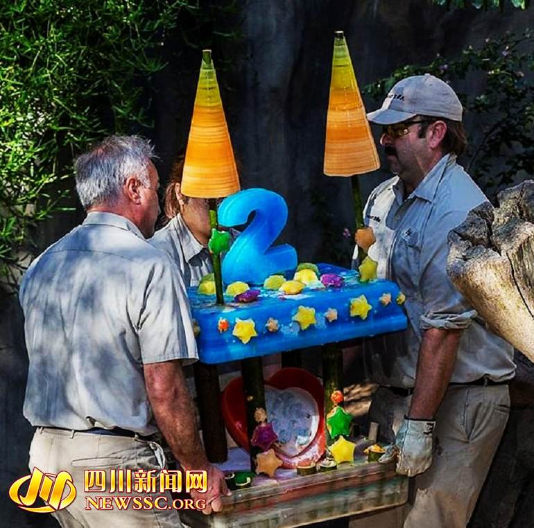 ������������Ա̧�𵰸⣨�й���������è�о������ṩ��