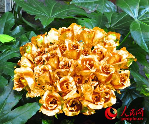 �������Ƴ���ǧ���������Ľ�õ��