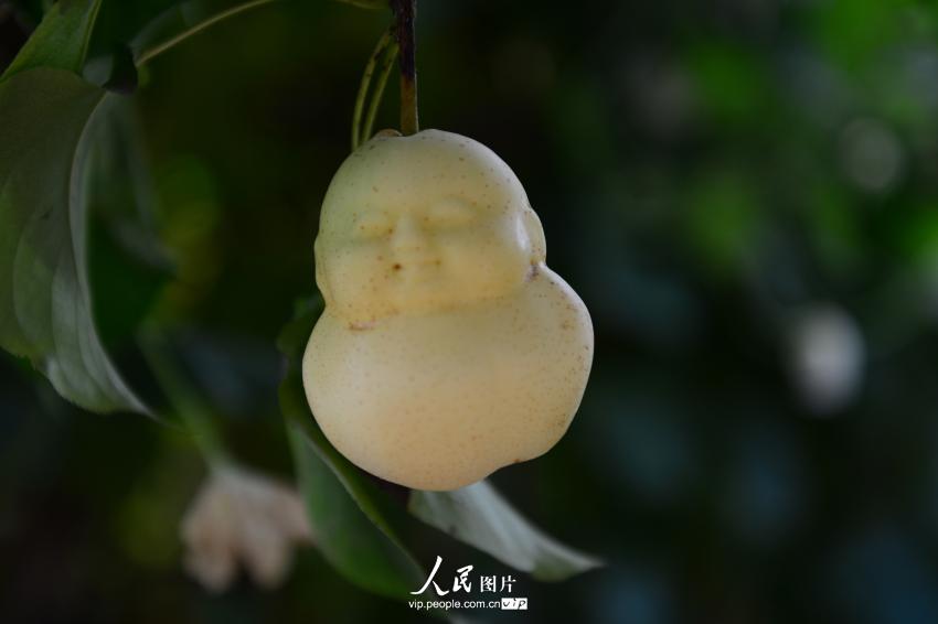 ���壺��ʵ�桰�˲ι������ֺӱ� ������溩̬����