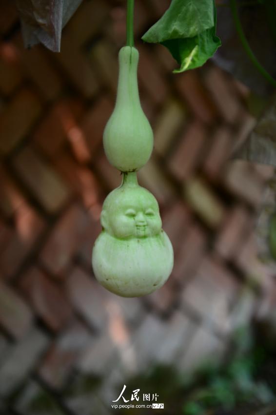 ���壺��ʵ�桰�˲ι������ֺӱ� ������溩̬���䡾3��
