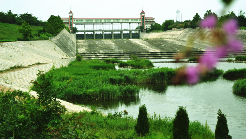 "醉"美大沽河!在青岛市胶州入海