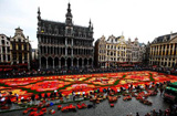 布鲁塞尔60万朵鲜花织地毯 