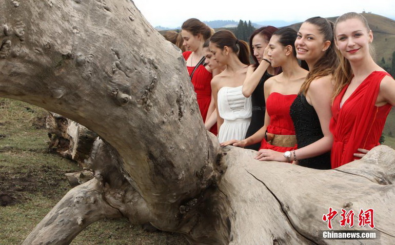 ���壺����ģƷ������� ���������ʹ�߽��½���4��