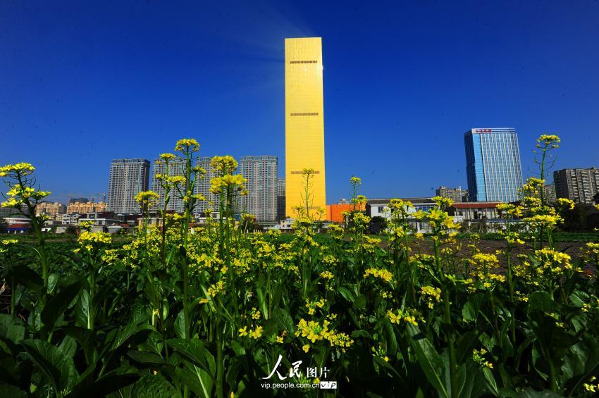 2013年10月26日，江苏省海安县，被称为金砖楼的地标建筑中洋豪生大酒店在阳光照射下闪闪发光。