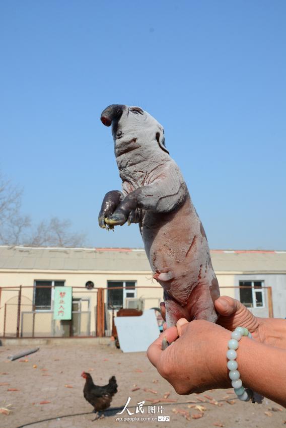 ���壺����ĸ�����¡����̡� �����2Сʱ��10��