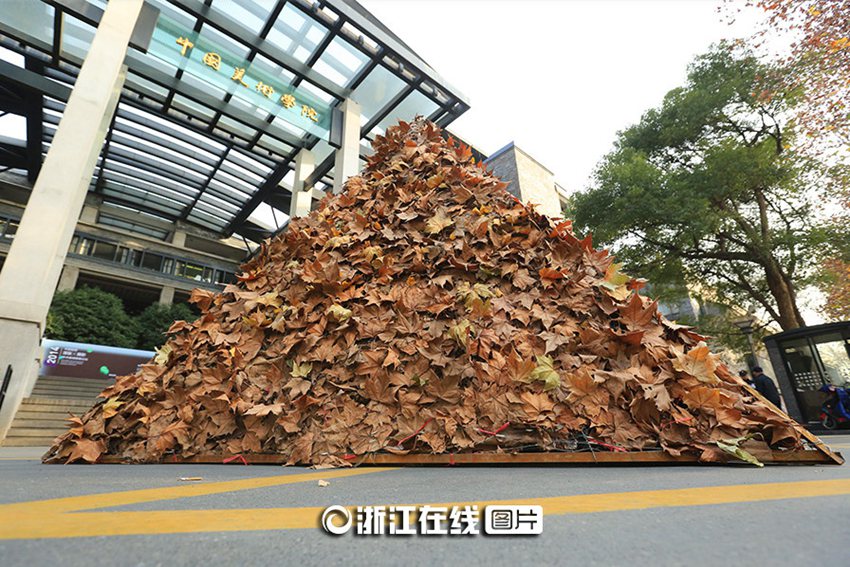 高清:杭州街头惊现落叶"金字塔"【2】--旅游频道_权威图片