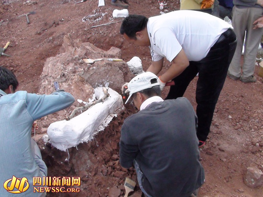 2014年12月中旬，在会理县南阁乡一山顶现场，专家正在对埋藏在地表的恐龙化石进行倒模,会理县文管所供图