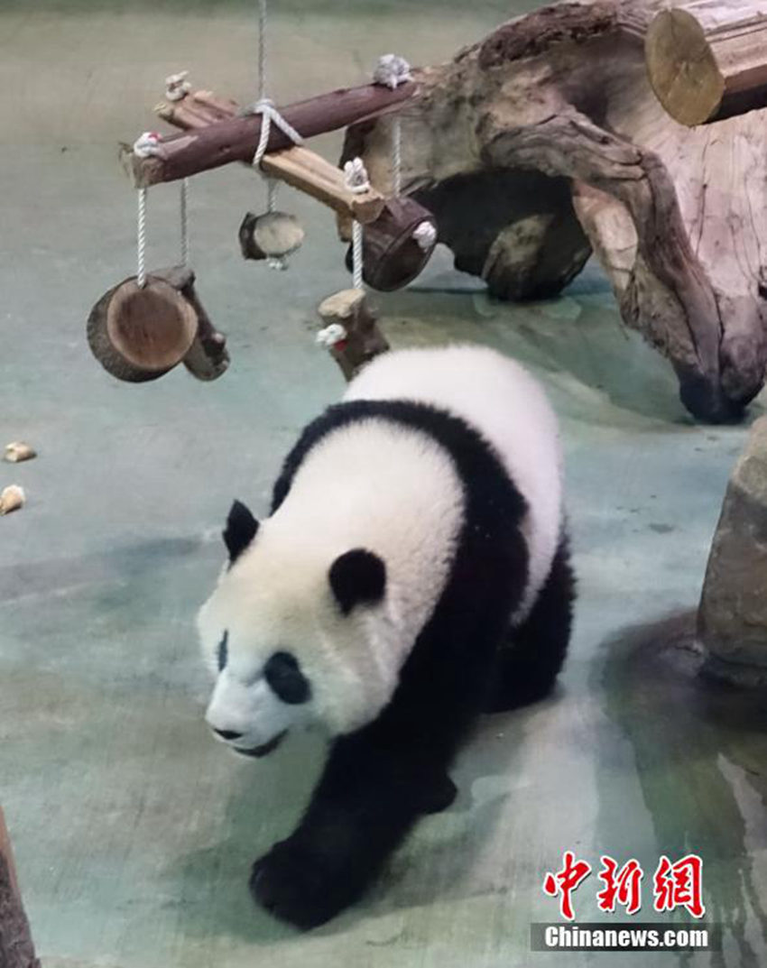ͼΪ��Բ�С����������� �����緢 ·÷ ��