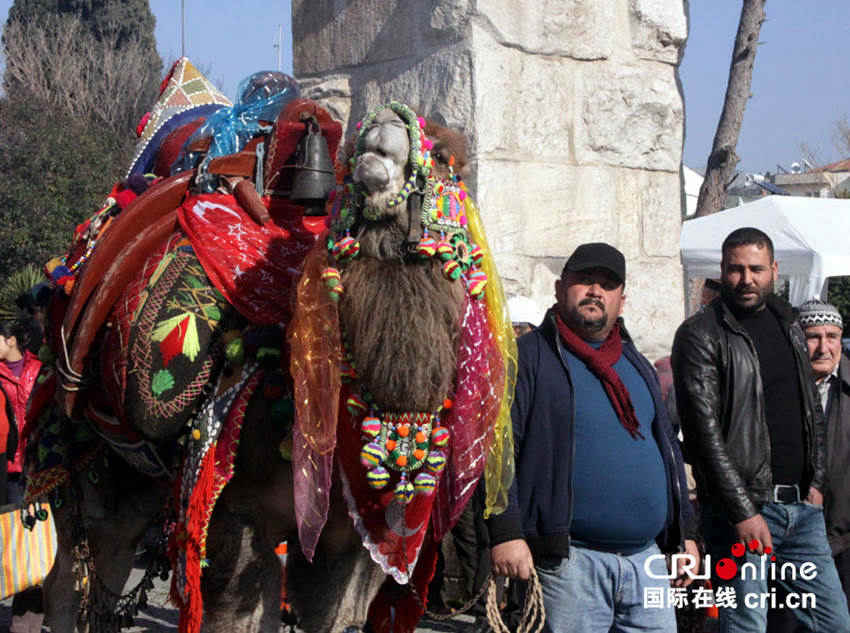 �������ո߰��ı���