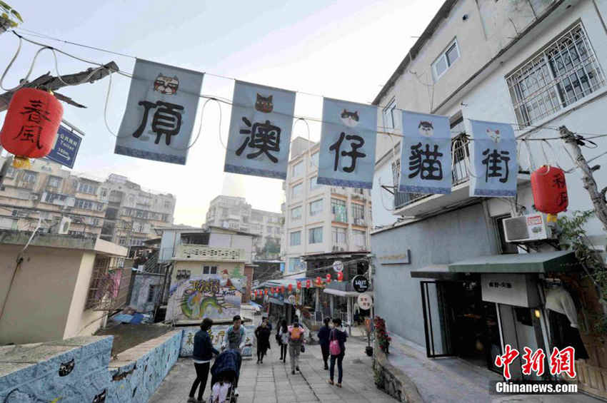 壺èĻ ȳ迨ͨ8