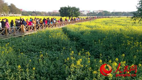 ��ݸ��ͷ�Ͳ˻�ʢ��������֮ǰ