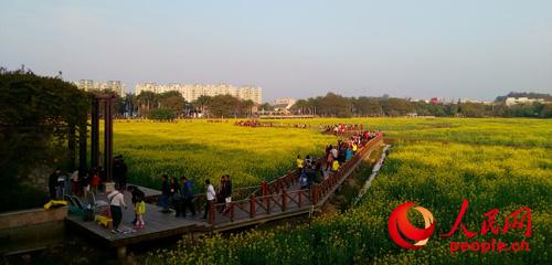 ��ɫ�������� ��������ͷ