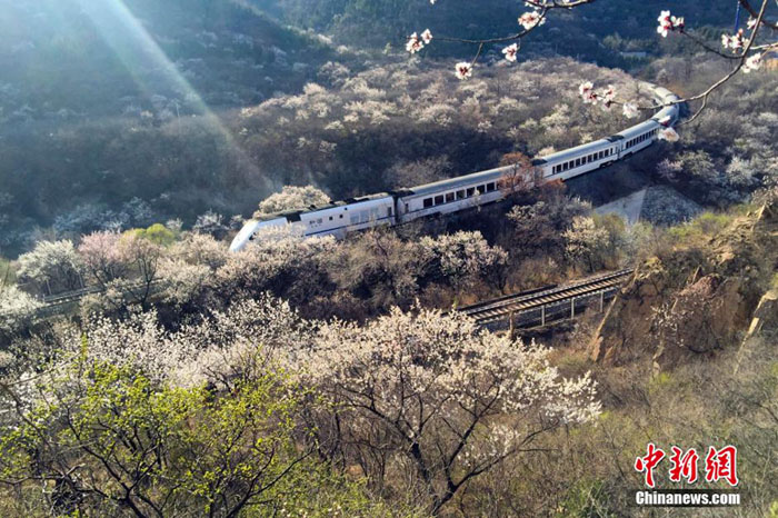 ���壺��г���г���Խ��ӹ�ػ��� ���޿���������г���5��