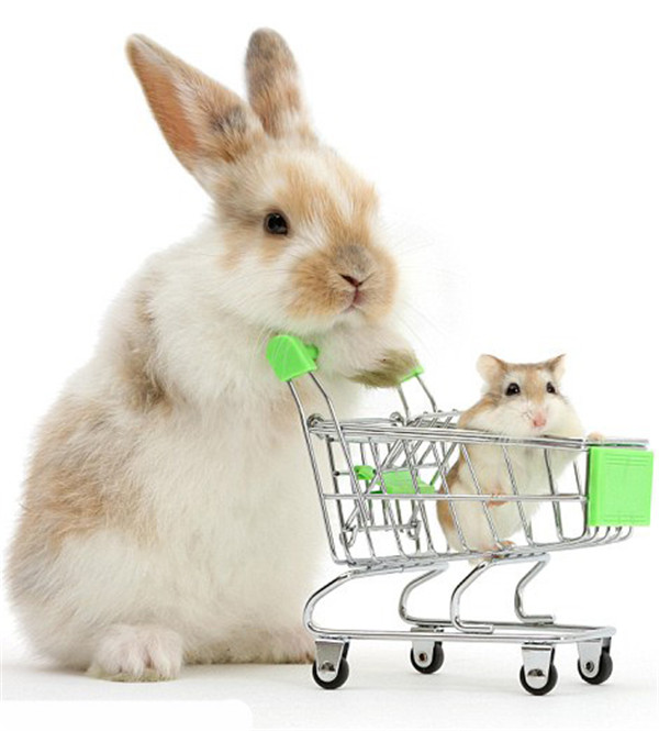 ���壺Ӣ��Ӱʦ��׽С���������˲�䡾12��