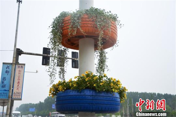 马义恒 摄这几日,郑州市花园北路绿化带两旁出现的"轮胎花篮"吸引众多