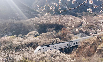 和谐号列车穿越居庸关花海 被赞开往春天的列车4月6日，几十名北京市民来到位于北京居庸关的京张铁路，从山顶拍摄和谐号列车经过花海的景观。该列火车被民众称为“开往春天的列车”。【详细】 