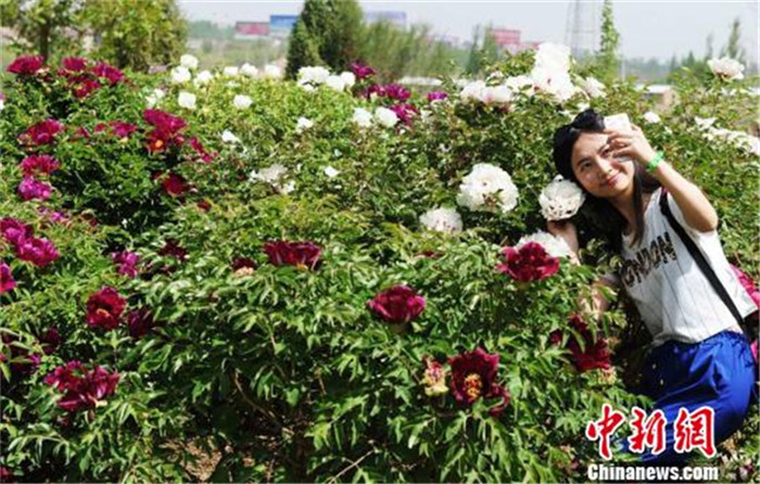 ���壺����ǧĶĵ��ӳ��������Ů����ɫ���㡱��3��