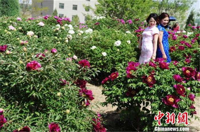 ���壺����ǧĶĵ��ӳ��������Ů����ɫ���㡱��2��