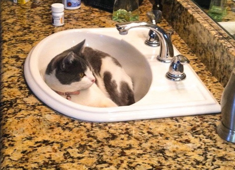 ���壺������ĸ�Ц�ճ���6��