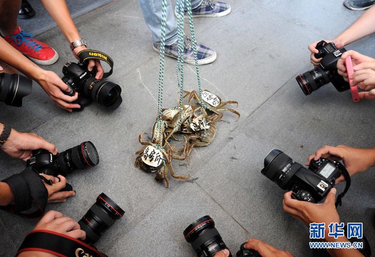 2013年9月19日，在南京秋季房展会上，南京一位青年美术工作者在房展现场进行“遛螃蟹”行为艺术表演，呼吁降低房价。 新华社记者孙参摄