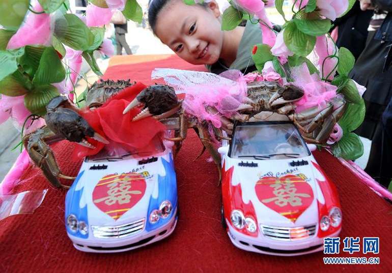2011年10月5日，在江苏洪泽湖大闸蟹节趣味赛蟹活动“螃蟹宠物秀”上，小朋友观看参赛的“蟹新郎、蟹新娘坐婚车”。 新华社记者孙参摄