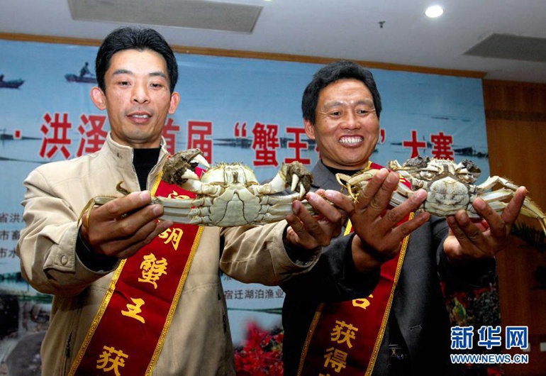 2008年10月28日，在江苏省淮安市举行的洪泽湖“蟹王蟹后”争霸赛上，两名螃蟹养殖户分别展示重458克的“蟹王”（左）和重347克的“蟹后”。新华社发（柏志勇摄）