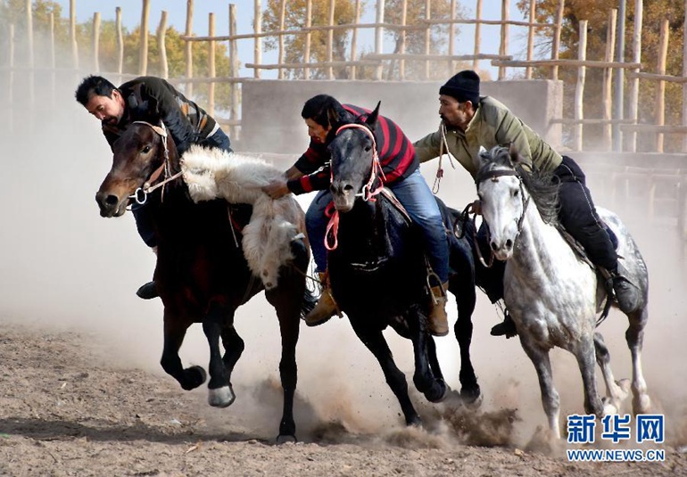 ά���������μӡ����򡱱�����11��1���㣩��