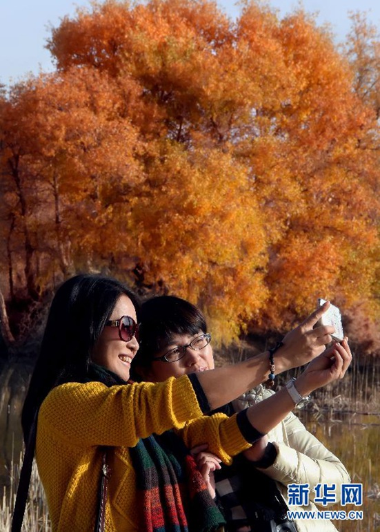 在巴楚县胡杨海景区，两位游客以胡杨林为背景拍照留念（11月2日摄）。