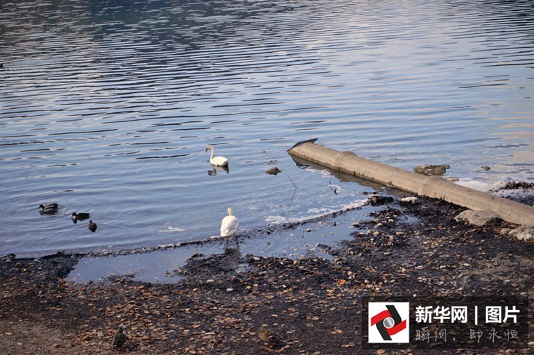 美国作家梭罗的《瓦尔登湖》就为我们描绘了一副这样的美丽田园风光,读来让人无限向往,只想逃离都市,脱离工作,去过一种梭罗笔下的瓦尔登湖式的生活。
与此类似,在德国新天鹅堡湖边上,你便会思考:人们终归需要回归大自然,回归本性,过一种简单朴素但是内心安宁的生活,物质发展越文明,人们越会尊重大自然给予的恩赐。新华网 关心摄