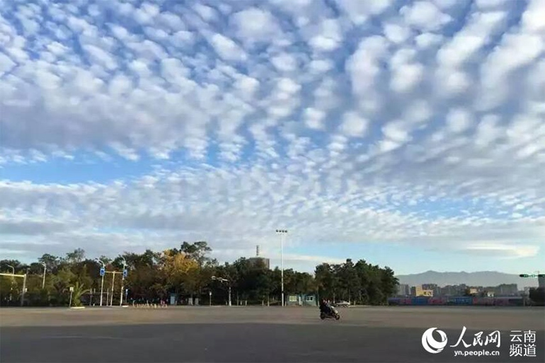 �����ʹ������Ͽյ��Ʋʡ������շ� �㣩