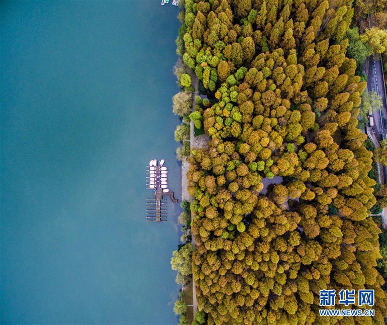 ���壺������Ϯ �������������������߲������3��
