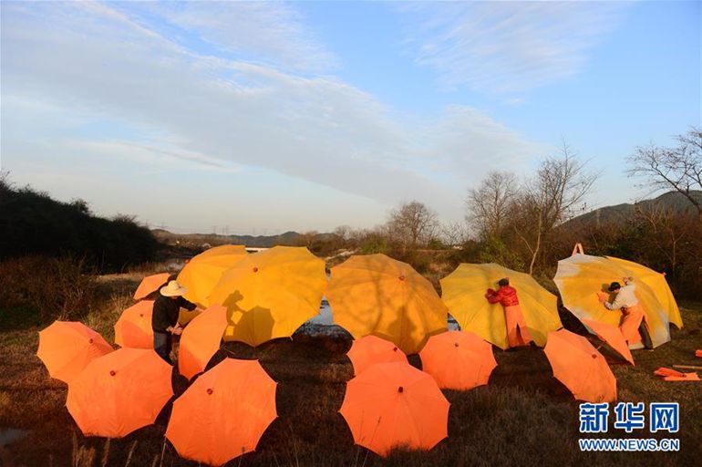 12月3日，在泾县昌桥乡孤峰村国民油布伞厂，工人在晾晒伞。新华社记者 刘军喜摄