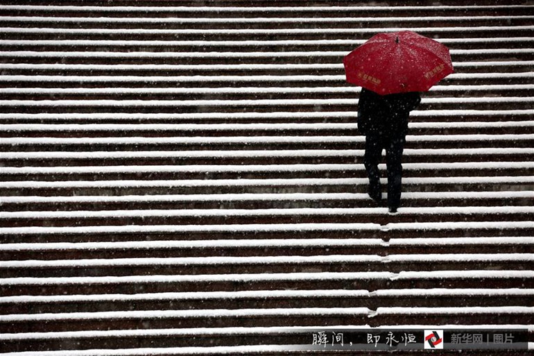 雪中行 11月24日，在山东省枣庄市市中区人民法院，一名行人冒雪拾级而上。当日，山东多地迎明显降雪天气。 新华社发（孙中喆 摄）