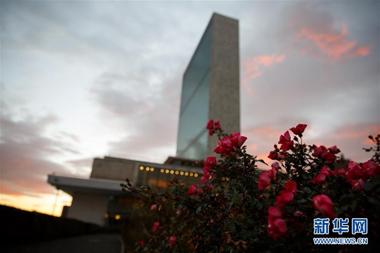 ����12��15����λ������ŦԼ�����Ϲ��ܲ������ʢ�ŵĻ��䡣�»��������ľ����