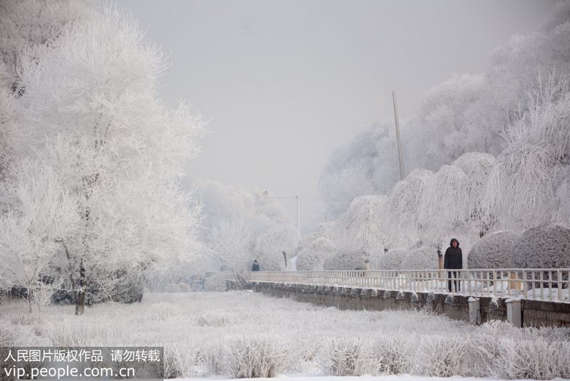 ȥ�����ɻ����Ͽ���ڡ2015��12��7�գ��������ɻ������������ƣ��ɻ����������ֳ������Ͼ����ڡ���ۣ��������ڶ��οͷ׷�ǰ�����ͣ��������������ͼƬ/��������