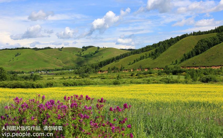 《寻龙诀》取景地：内蒙古呼伦贝尔草原。“天苍苍，野茫茫，风吹草低见牛羊”。梦中的呼伦贝尔在每一个没有去过呼伦贝尔大草原人的心里，都是神圣而遥远的。去呼伦贝尔草原，一定不要错过被老舍先生称为“天下第一曲水”的莫日格勒河风光，俯瞰莫日格勒全貌，看草原上九曲十八弯的河流的壮观景象。蓝天白云，弯弯河水，成群牛羊，使这里成为少有的游牧胜地，也是中外影视剧组理想的草原影视基地。